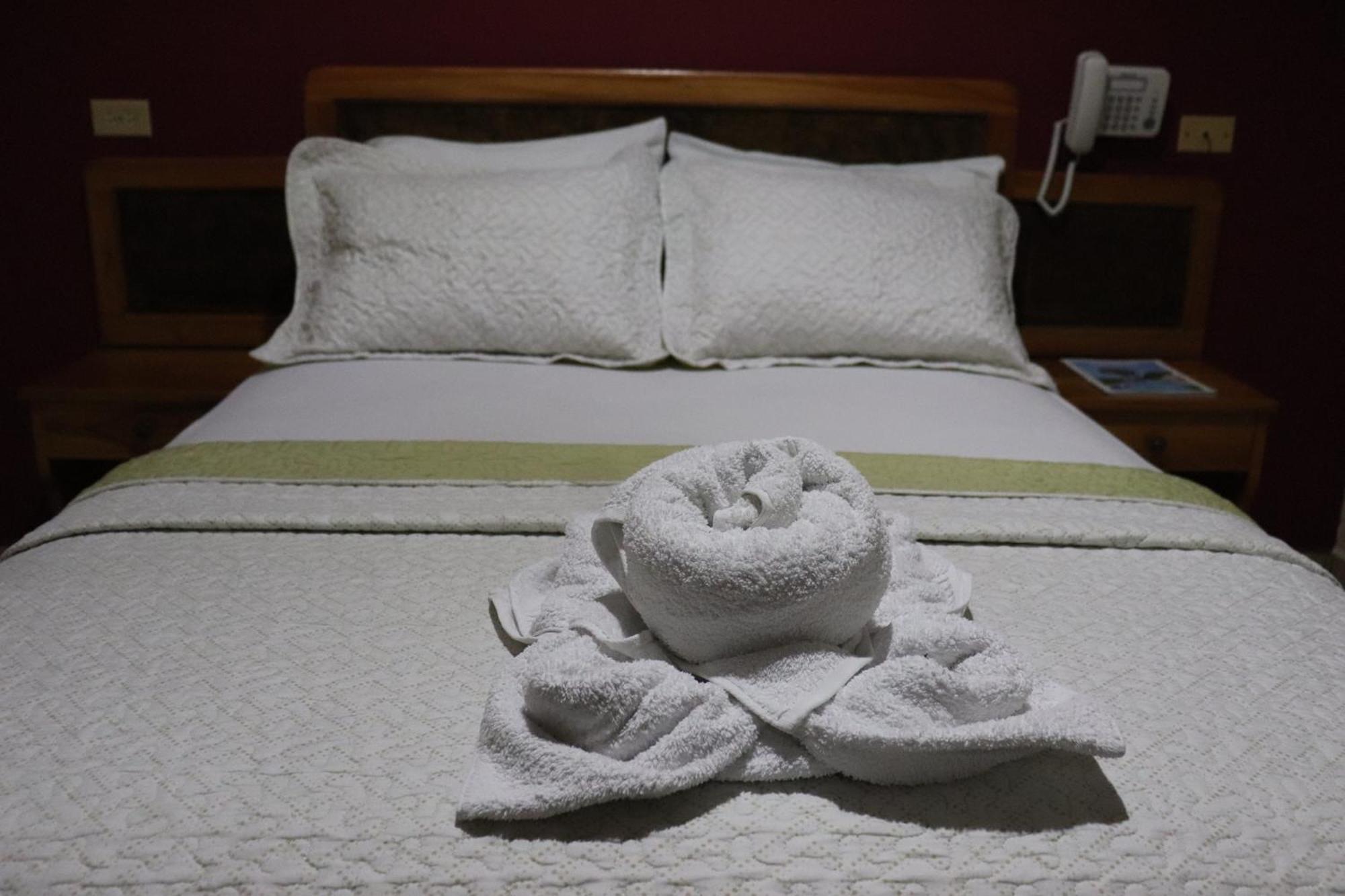 Hotel Residencial Panamericano ダビッド エクステリア 写真